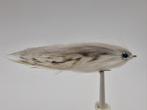 Grey Mullet Saltwater, Watersport en Boten, Ophalen of Verzenden, Nieuw, Overige typen