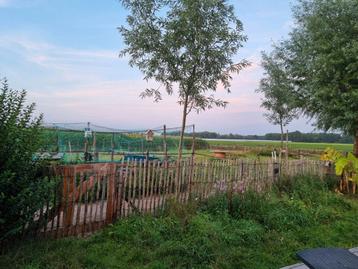 Gezocht vrijwillige tuinier beschikbaar voor biedingen