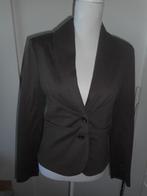 Stroke by Berry Tielens, jasje, Nieuw, Kleding | Dames, Bruin, Nieuw, Ophalen of Verzenden, Berry Tielens