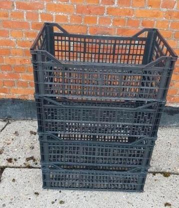 Kratjes / opslag / 60x40x21 / kist / krat / landbouw beschikbaar voor biedingen