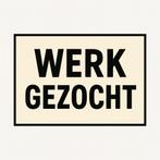 Werk gezocht /opzoek naar werk (zzp), Overige vormen