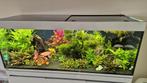 Wit Eheim aquarium 530 liter, Ophalen, Leeg aquarium