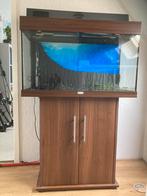 Te koop een juwel RIO 125 aquarium  80x35x50 cm, Gebruikt, Ophalen of Verzenden, Leeg aquarium