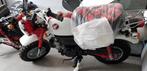 Honda Monkey Z50 Anniversary (dax ss50 cz100 z50m), Fietsen en Brommers, Ophalen, Overige modellen, Nieuw, 49 cc