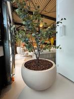 Kunstboom met pot. Polyester pot 90 cm, Ophalen of Verzenden, Volle zon, Overige soorten, 100 tot 250 cm