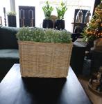 Grote rechthoekige rieten planten mand, Minder dan 60 cm, Ophalen of Verzenden, Zo goed als nieuw, Binnen