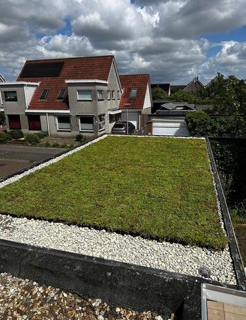 Sedum groen dak cassettes voor eenvoudig zelf maken beschikbaar voor biedingen