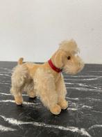 Steiff hond met knop 22 cm, Ophalen of Verzenden