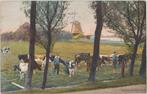 monnikendam boeren melken koe molen de bonsem houtzaagmolen, Ophalen of Verzenden, Voor 1920, Ongelopen, Noord-Holland