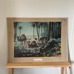 Schoolplaat Onder de dadelpalmen – Koekkoek – 1934, Ophalen of Verzenden, Natuur en Biologie