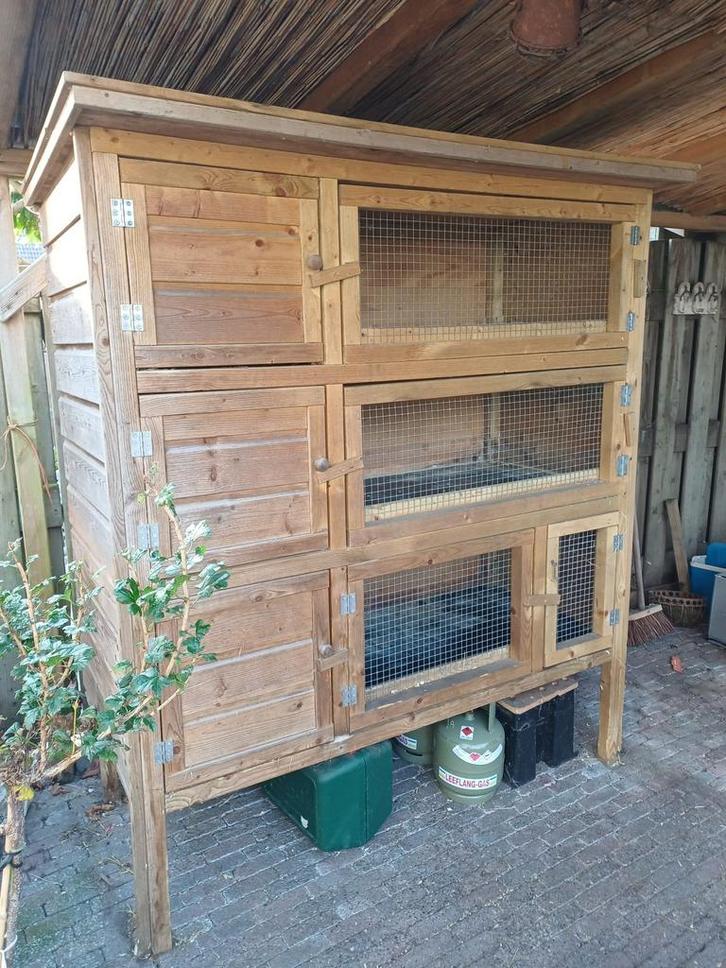 Konijnen hok, Dieren en Toebehoren, Knaagdieren en Konijnen | Hokken en Kooien, Gebruikt, Hok, 90 cm of meer, 110 cm of meer, Cavia