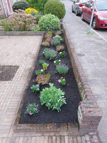 Tuin man maakt u tuin weer netjes  beschikbaar voor biedingen