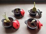 Mini cactus in mini pannetje, Cactus, Ophalen of Verzenden