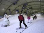 25% korting op skipas/dagkaart diverse SnowWorld vestigingen, Tickets en Kaartjes, Drie personen of meer, December