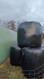 Grote plastic verpakte hooibalen te koop, Dieren en Toebehoren, Ophalen, Vee