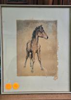 Schets Fohlen van Hermann Fritz Neumann, Ophalen