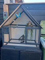Vogelhok, Dieren en Toebehoren, Vogels | Hokken en Kooien, Ophalen of Verzenden, Zo goed als nieuw, Hout, Volière