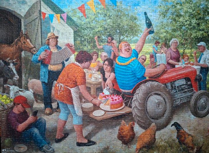Falcon de Luxe Puzzel - Marius van Dokkum, Hobby en Vrije tijd, Denksport en Puzzels, Zo goed als nieuw, Legpuzzel, 500 t/m 1500 stukjes