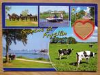 Ansichtkaart Groeten uit Fryslan 4465, Ophalen of Verzenden