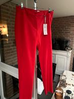 Rinascimento nieuwe broek pantalon mt L voor NL M, Lang, Maat 38/40 (M), Ophalen of Verzenden, Zo goed als nieuw