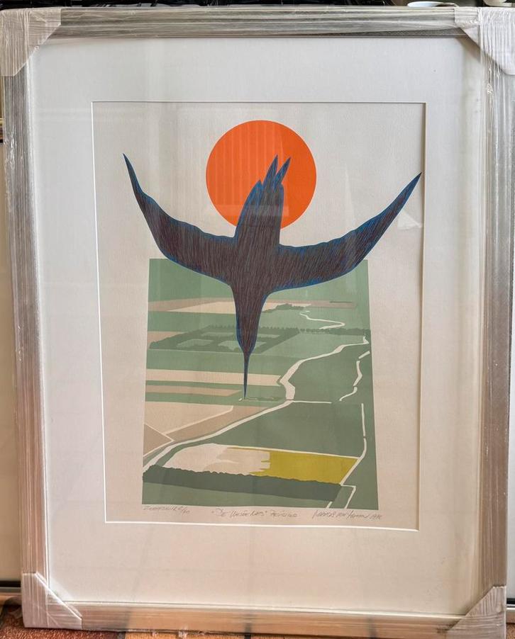 Marcus van Hoorn - de Weide Nes, Antiek en Kunst, Kunst | Litho's en Zeefdrukken, Ophalen