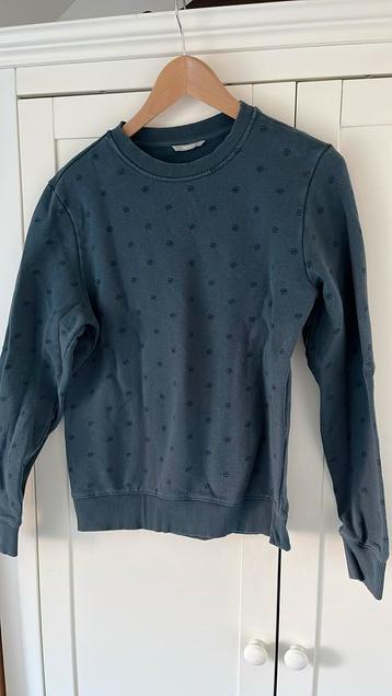 Donkerblauwe sweater maat S HEMA  beschikbaar voor biedingen
