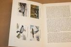 Kanis & Gunnink Vogel-album [1957] — Compleet Plak-album, Boeken, Ophalen of Verzenden, Gelezen