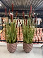 2 Potten incl. kunstboom - Ook los te koop, Ophalen, Zo goed als nieuw, Binnen