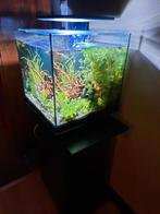 Superfish Qubiq 60 Pro 40x40x50.8 cm - Aquaria - Zwart, Dieren en Toebehoren, Vissen | Aquaria en Toebehoren, Zo goed als nieuw