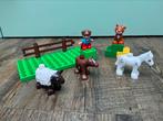 LEGO Duplo Dierenverzorging - 5646, Ophalen of Verzenden, Zo goed als nieuw, Duplo