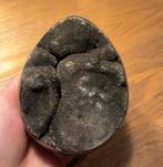 Prachtig septarie ei!, Verzamelen, Mineralen en Fossielen, Ophalen of Verzenden, Mineraal
