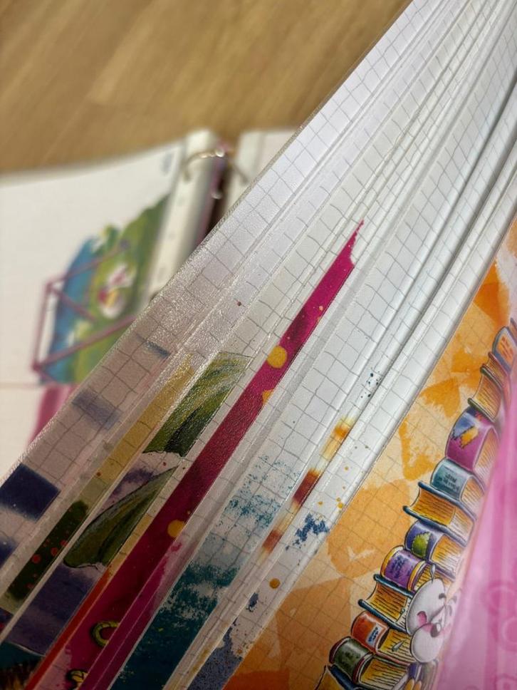 Diddl verzamelmap met blaadjes, Verzamelen, Diddl, Gebruikt, Papier, Kaart of Schrift, Diddl, Ophalen of Verzenden