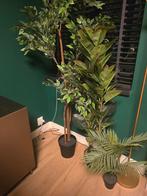3 Realistische Kunstplanten, Huis en Inrichting, Ophalen
