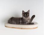 Wandmeubel Klimmuur Kat - Luxe Kattenbed (3x) RHRQuality, Dieren en Toebehoren, Katten-accessoires, Nieuw, Ophalen of Verzenden