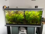 Aqualantis aquarium 600 liter, Dieren en Toebehoren, Ophalen of Verzenden, Gebruikt, Gevuld zoetwateraquarium