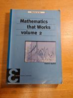 Mathematics that works volume 2, Ophalen of Verzenden, Zo goed als nieuw, Natuurwetenschap, Maarten de Gee