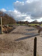 24/7 pony paddock in Bennekom heeft plek vrij voor een RUIN, Dieren en Toebehoren, Stalling en Weidegang