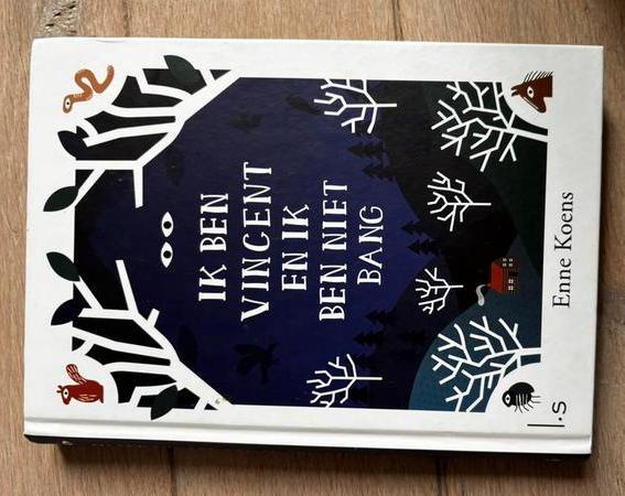 Kinderboek: ik ben Vincent en ik ben niet bang, Boeken, Kinderboeken | Jeugd | 10 tot 12 jaar, Zo goed als nieuw, Ophalen of Verzenden