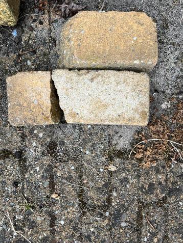 Gratis Gebruikte Betonklinkertjes voor Tuin/Terras beschikbaar voor biedingen