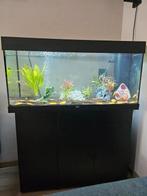 Aquarium Juwel Rio 180 inclusief onderkast en vissen, Dieren en Toebehoren, Vissen | Aquaria en Toebehoren, Ophalen, Zo goed als nieuw