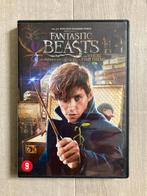 Fantastic Beasts, Cd's en Dvd's, Vanaf 9 jaar, Ophalen of Verzenden, Zo goed als nieuw
