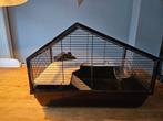 Leuke hamsterkooi met huisje en loopwiel, Kooi, Gebruikt, Minder dan 75 cm, Ophalen