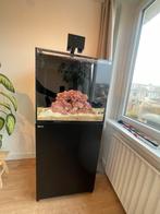 Red Sea 170 Max E - Compleet Zoutwater aquarium, Ophalen, Zo goed als nieuw, Leeg aquarium