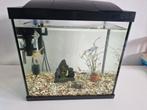 Nette aquarium, Dieren en Toebehoren, Vissen | Aquaria en Toebehoren, Ophalen of Verzenden, Zo goed als nieuw, Gevuld zoetwateraquarium