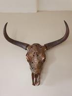 Buffel schedel - brons - gegraveerd - afneembare hoorns, Ophalen of Verzenden, Zo goed als nieuw
