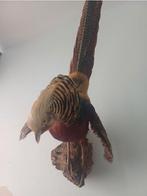 Gezocht: Taxidermie, opgezette, Dieren en Toebehoren, Vogels | Overige Vogels, Vrouwelijk