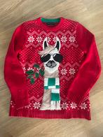 Leuke foute kersttrui maat 146/152, Ophalen of Verzenden, Zo goed als nieuw, Jongen of Meisje