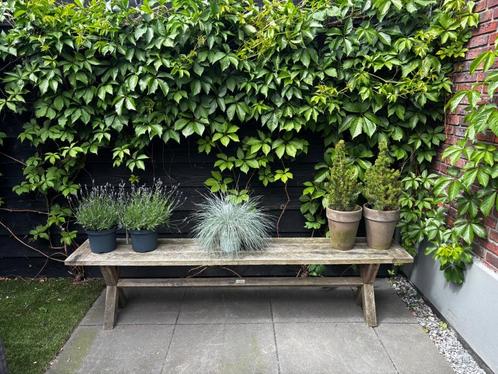 Tuin set 1 tafel 1 bank, Tuin en Terras, Tuinbanken, Gebruikt, Hout, Ophalen