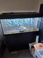 Juwel Rio 180, Dieren en Toebehoren, Vissen | Aquaria en Toebehoren, Ophalen, Zo goed als nieuw, Leeg aquarium