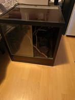 Betonplex terrarium, Dieren en Toebehoren, Ophalen